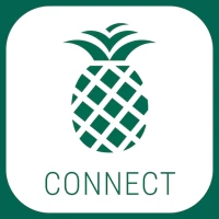 Pineapple Connect