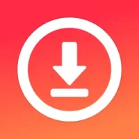 Video Downloader - Story Saver