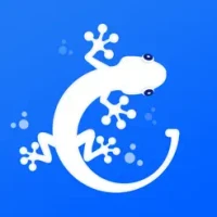 Gecko-Secure Communication Tool